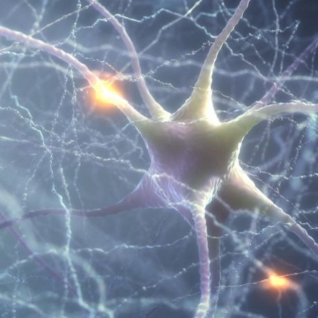 neuroni